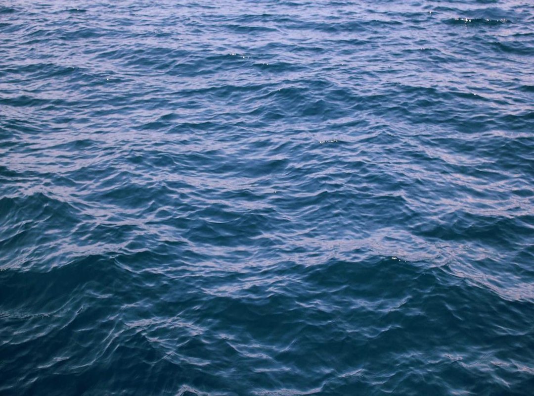 Your First Event: From Online Chat to In-Person Meetup