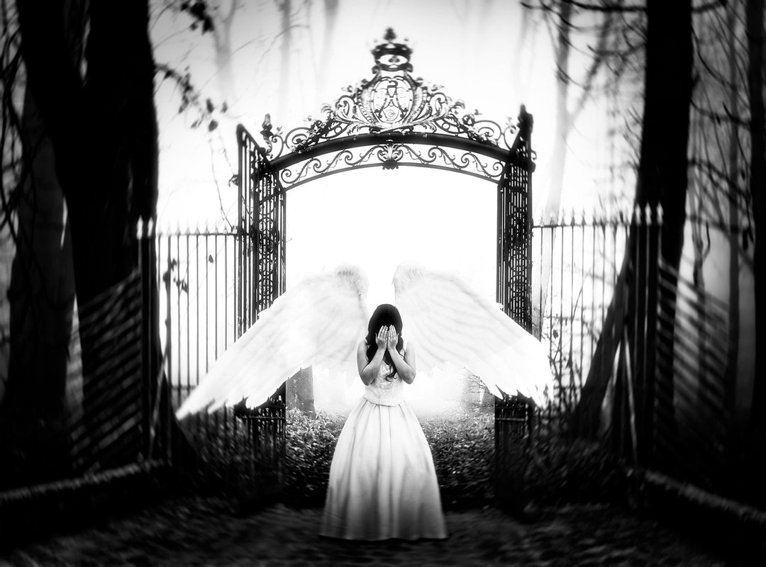 The Real Impact of Leaks on Online Creators