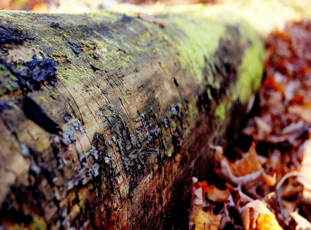 How to Set Your New Wallpaper: A Step-by-step Guide