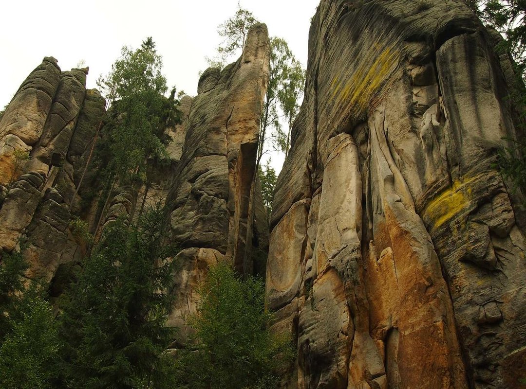 Full Compatibility: Watch on Your Favorite Device