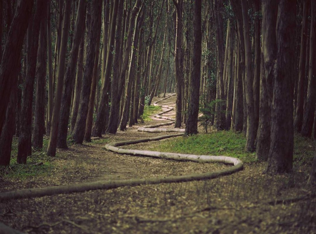 Ranked: The Top 3 Kerri Gribble Blowjob Scenes You Can't Miss