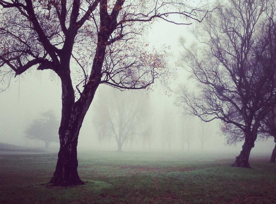 Instant Access: Add 'Love Me Like You Do' to Your Library in 60 Seconds