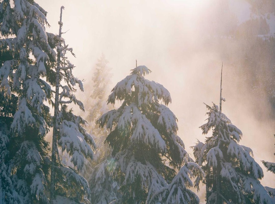 The Practical Guide: What to Expect Before You Get Inked