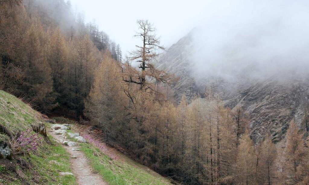 video game tips otvpgamers