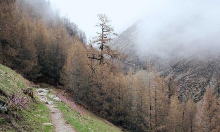 video game tips otvpgamers