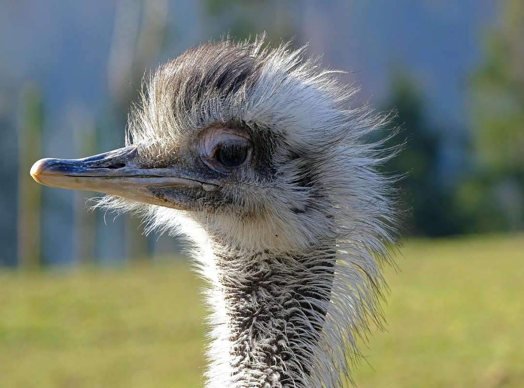 Why Gaming Is Good for Your Brain Pmwgamegeek